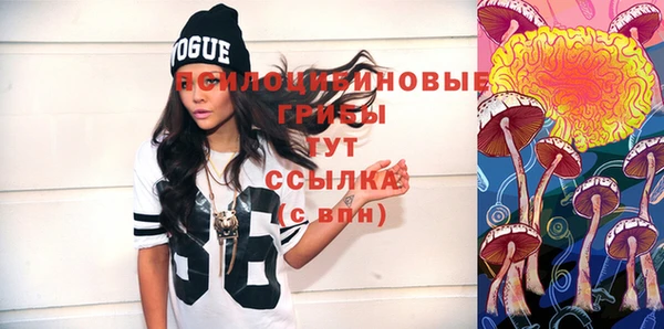 крисы Тавда