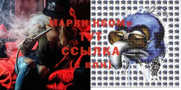 крисы Тавда